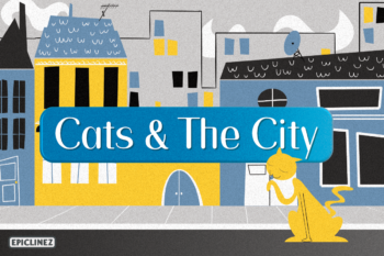Cats and the City