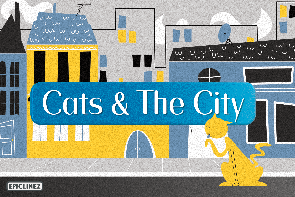 Cats and the City