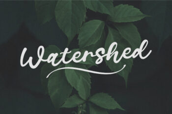 Watershed