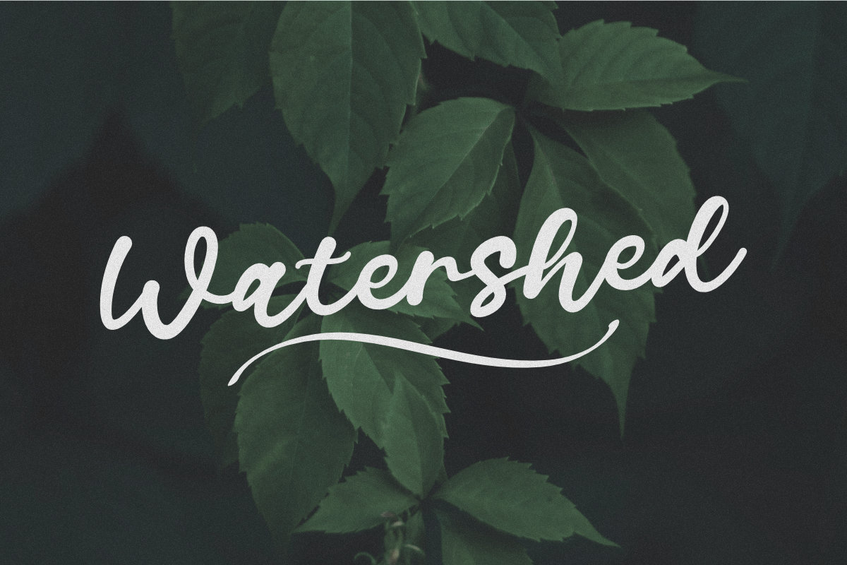 Watershed