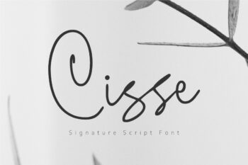Cisse