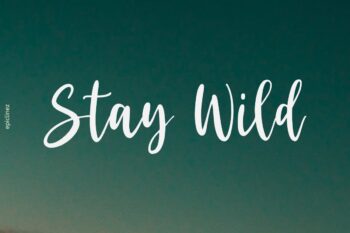 Stay Wild