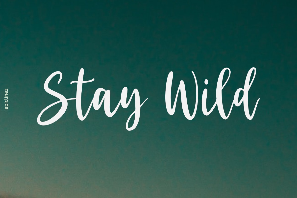 Stay Wild
