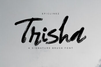 Trisha | Brush Signature Font